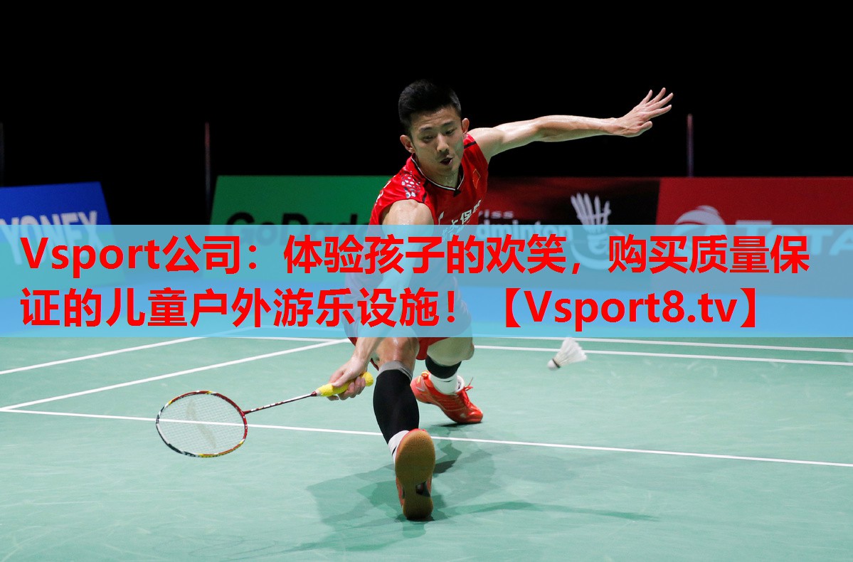 Vsport公司：體驗(yàn)孩子的歡笑，購買質(zhì)量保證的兒童戶外游樂設(shè)施！