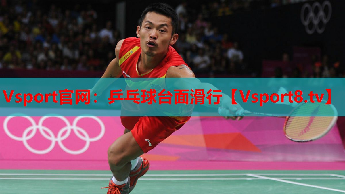 Vsport官網(wǎng)：乒乓球臺(tái)面滑行