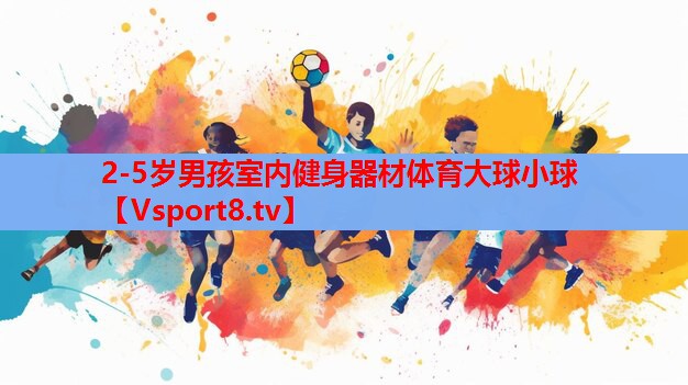 2-5歲男孩室內(nèi)健身器材體育大球小球