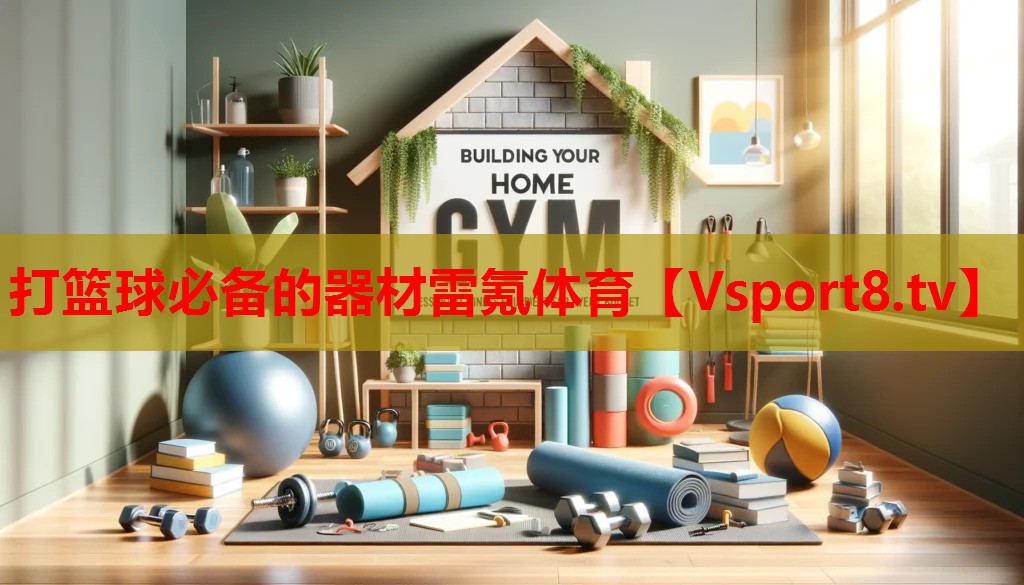 打籃球必備的器材雷氪體育