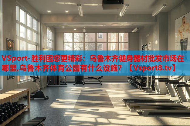 VSport-勝利因您更精彩：烏魯木齊健身器材批發(fā)市場在哪里,烏魯木齊體育公園有什么設(shè)施？
