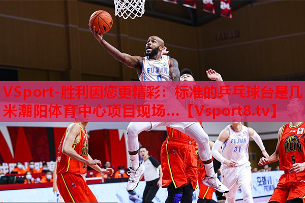 VSport-勝利因您更精彩：標(biāo)準(zhǔn)的乒乓球臺(tái)是幾米潮陽(yáng)體育中心項(xiàng)目現(xiàn)場(chǎng)…