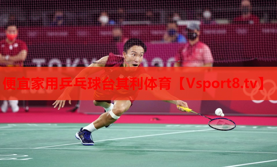 便宜家用乒乓球臺其利體育