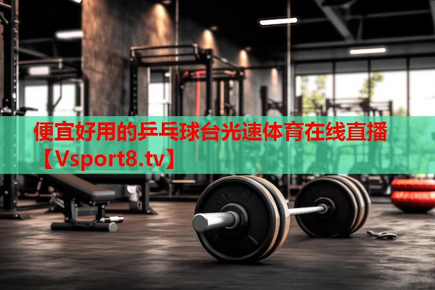 便宜好用的乒乓球臺(tái)光速體育在線直播
