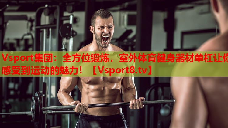 Vsport集團(tuán)：全方位鍛煉，室外體育健身器材單杠讓你感受到運(yùn)動(dòng)的魅力！