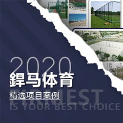 【回顧】2020年體育全年精選項目案例！