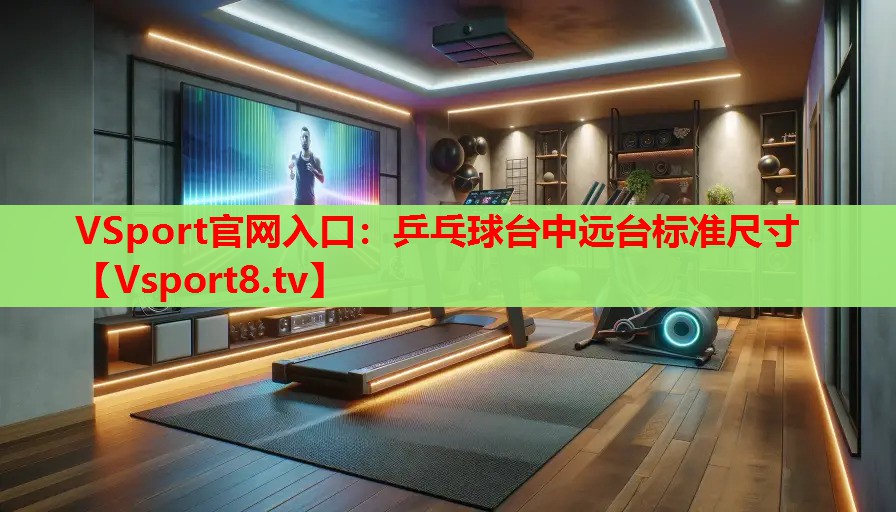 乒乓球臺中遠臺標準尺寸