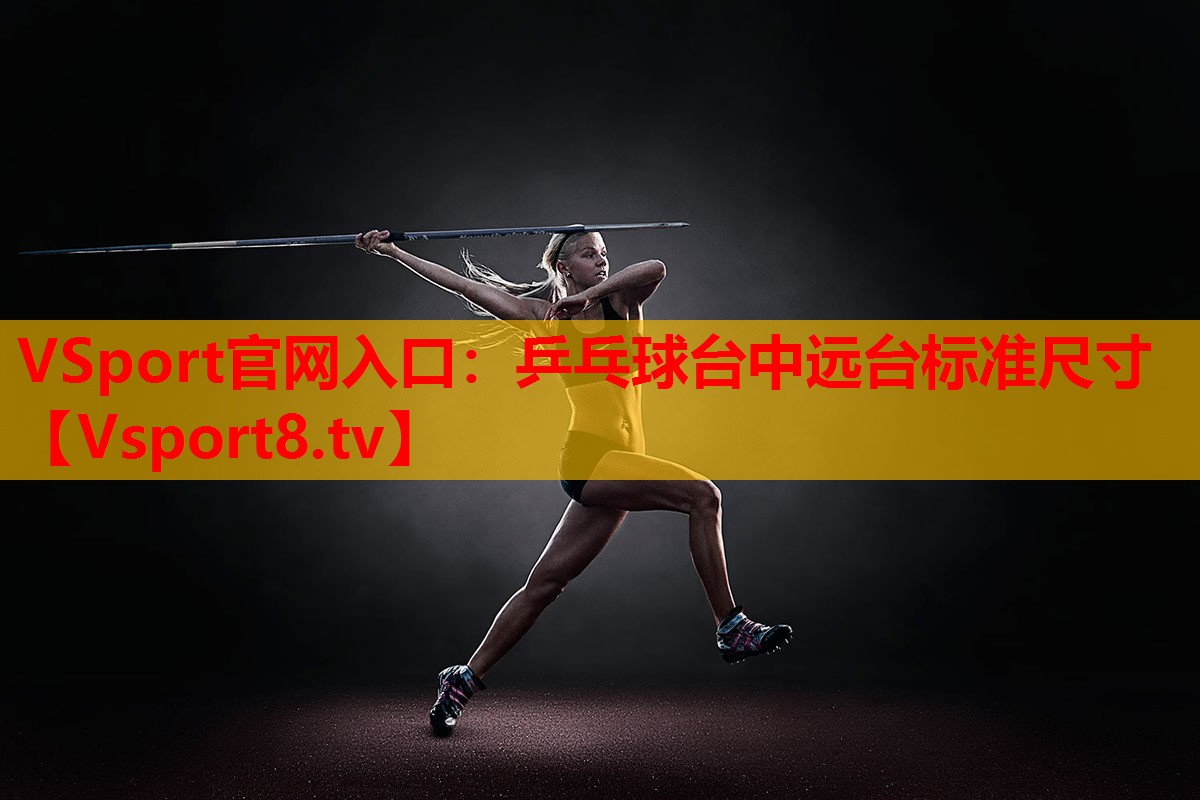 乒乓球臺中遠臺標準尺寸