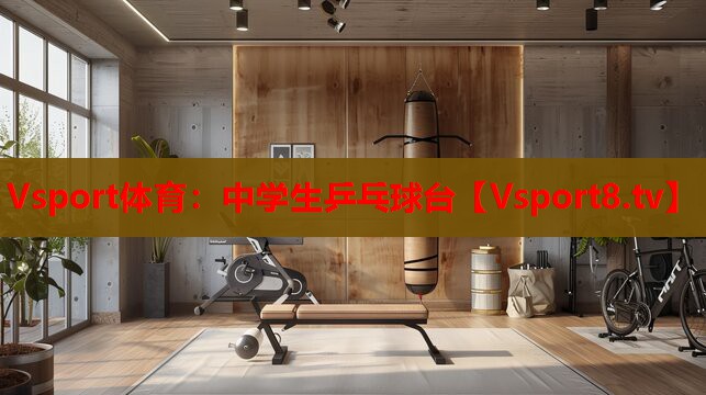中學生乒乓球臺