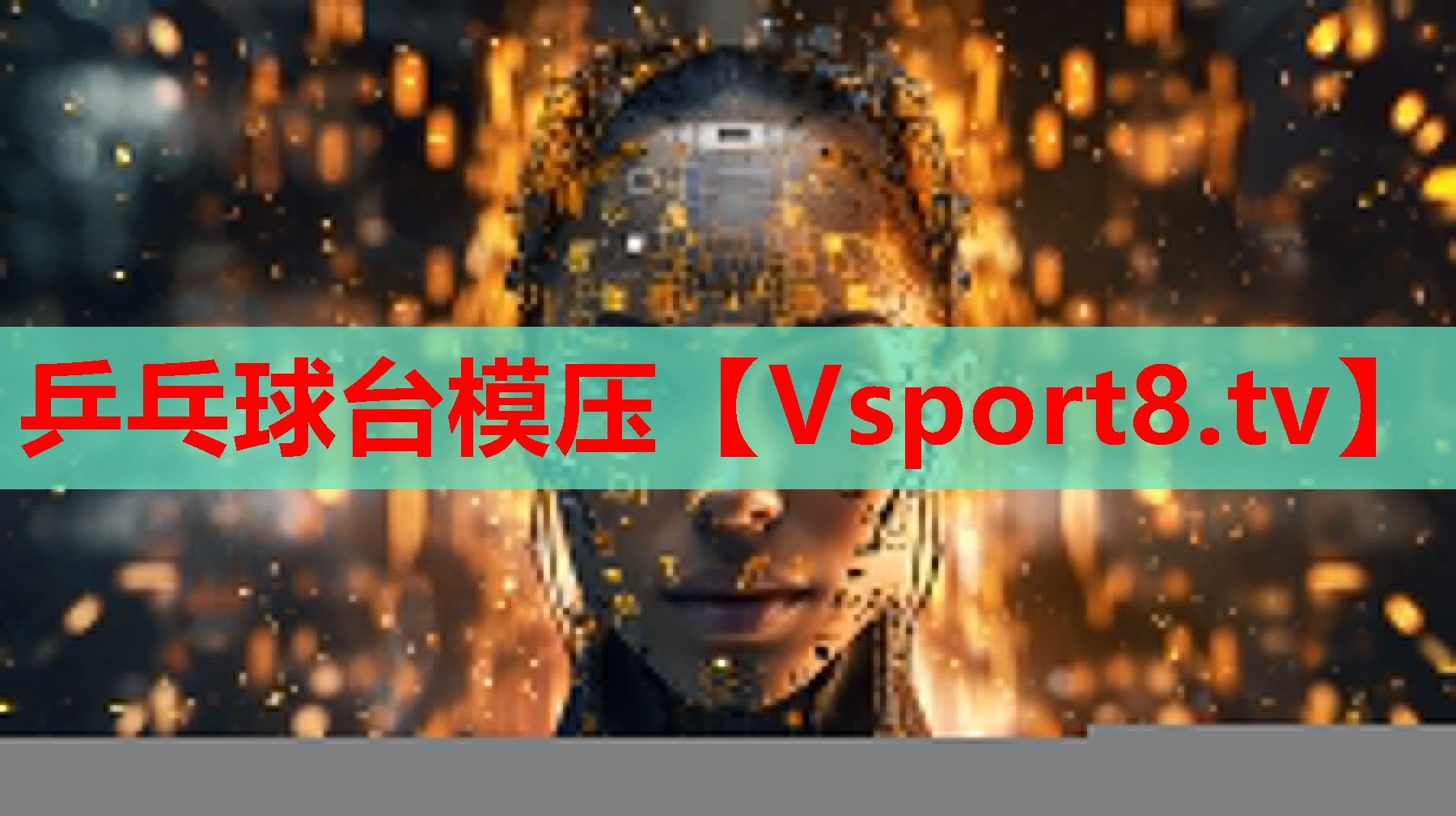 乒乓球臺(tái)模壓