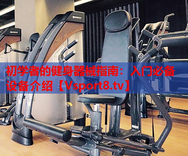 初學者的健身器械指南：入門必備設(shè)備介紹