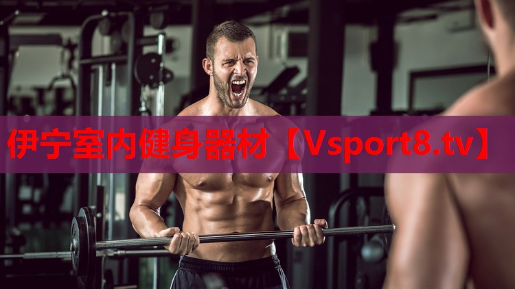 伊寧室內(nèi)健身器材